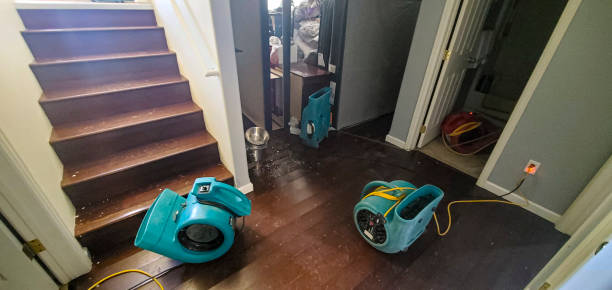 Best Water damage restoration services  in Wellsboro, PA