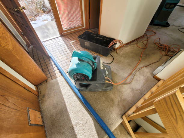 Best Flood damage cleanup  in Wellsboro, PA