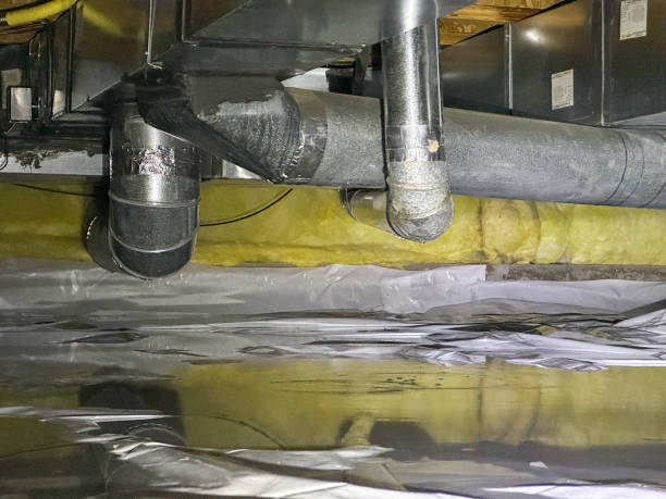Best Mold removal after water damage  in Wellsboro, PA