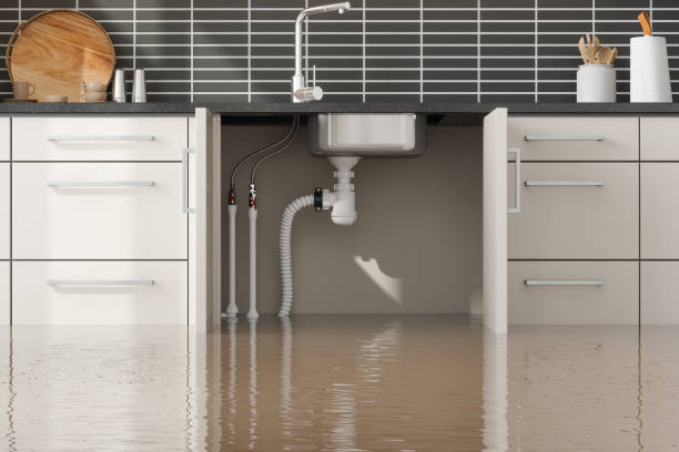 Best Water damage restoration near me  in Wellsboro, PA